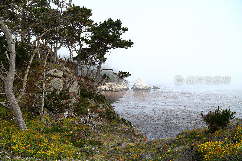 Point Lobos州立保护区